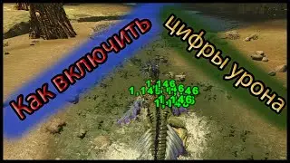 ARK как включить цифры урона (на локалке)