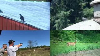 Epic Slow Motion Airgun Hunting Compilation | FX Impact Pest Control