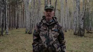Волк это опасно!  Регулирование численности.