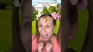 реакция на видео