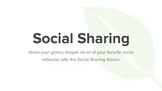 Envira Gallery Social Sharing Addon