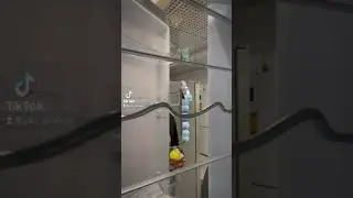 26 октября 2021 г.