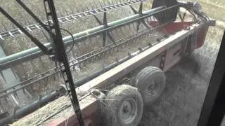 Wet harvest.