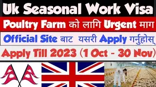 Uk Seasonal Poultry Work Visa 2023 Updates (Seasonal Work Visa) Uk Poultry Seasonal Work Visa 2023