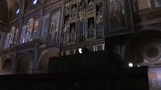 MUSICA MAESTRI! IX edizione 2024