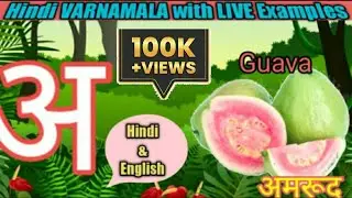 Hindi Varnamala  with Live Examples/Hindi Swar /Hindi Alphabets/अ से/अ से अनार/हिंदी वर्णमाला.