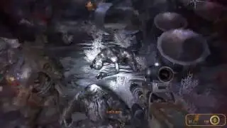 Metro 2033 PC Gameplay Walkthrough part 41 HD