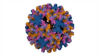 Molecular Mechanism of Capsid Disassembly in Hepatitis B Virus