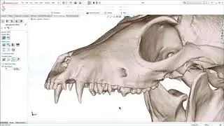 Power Surfacing for SOLIDWORKS - Advanced Tips and Tricks Part1