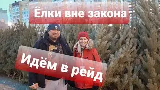 ЁЛКИ ВНЕ ЗАКОНА: ИДЁМ В РЕЙД!