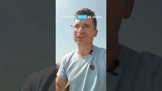 Mibe fektetnek a gazdagok?