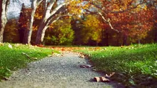 AUTUMN COLORS, SHORT RELAXING NATURE VIDEO + ORIGINAL MUSIC CREATED ON KORG WAVESTATE SYNTHESIZER