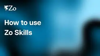 What are Zo Skills? Complete Beginner's Guide