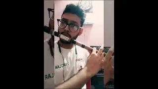 Sita Rammam flute cover