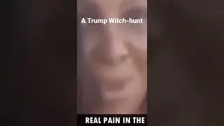 The Trump Witch-hunt #shorts #trump
