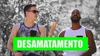As principais causas do desmatamento