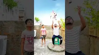 Catching rabbit, Monkey vs insects and food eating funny vfx magic