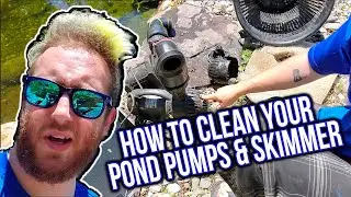 How to Clean A Pond Pump and Skimmer - Pond Tips and Advice