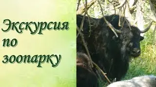 Барнаульский зоопарк Часть 2 Як Марал Ослик
