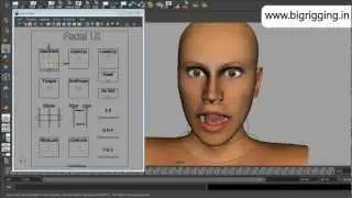 Advanced Bone Setup GUI face rig
