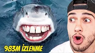 THE WORLD'S MOST WATCHED YOUTUBE SHORTS VIDEOS! (30 MINUTES)