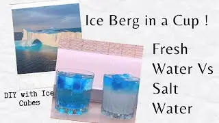 ICE in Fresh Water Vs Salt Water || Which one melts faster? #Sciencewithsana #diy #stem