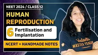 Fertilisation And Implantation |Human Reproduction |CBSE Class 12 Biology| VEER NEET Batch 2024👩🏻‍⚕️
