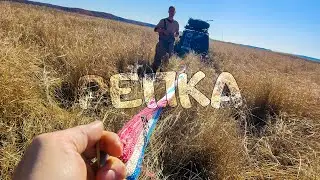 Как мы 