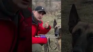 Поговоримо про поцілунки 🥰