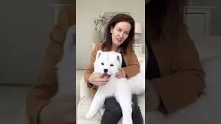 Мех искусственный)