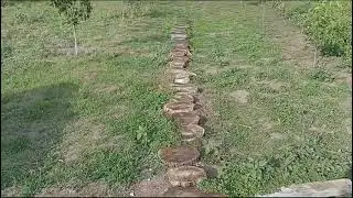 Мой огород! Иду на завтрак с собственного пруда.