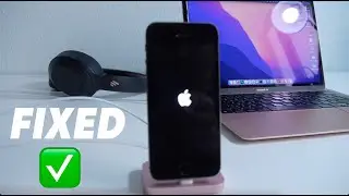 Что делать если iPhone завис на яблоке и не включается [3 решения]
