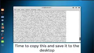 Basic Pentesting 2 Walkthrough