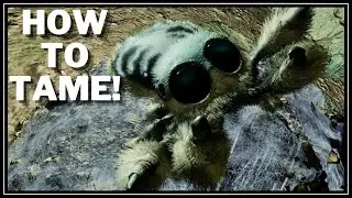 Ark Newest Creature May Be The Most Broken Creature Ever | How To Tame Cosmo | Ark Survival Ascended