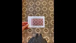 Метлахская плитка от завода Дзевульский и Лянге в Петербурге