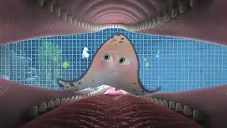 [Better quality & extended] Inside a dolphin's mouth (ATT2)