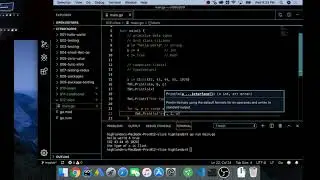 for range slice golang