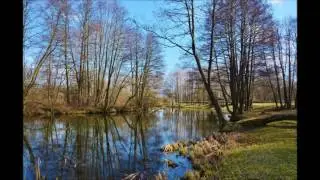 Кино - Апрель