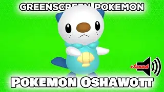 Pokemon Oshawott | GreenScreen | Pokémon GO | 👍POGOTUBE✅✨