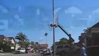best horse shots