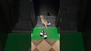 царь гурман от тушёнки нос отворачивает