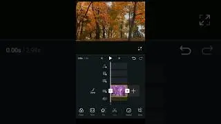 cinematic colour grading tutorial 😍 in vn app | #tutorial #shorts