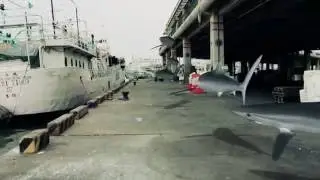 Shark Swim