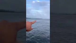 Бровку видно по воде 