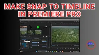 How to Make Snap to Timeline in Premiere Pro