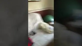 Bro zoomed in...