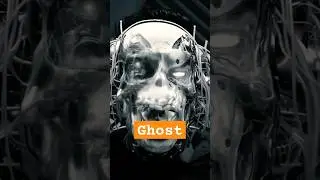 the ghost 👻