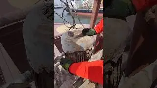 Поломка крана,  граба,  наш захватывающий сериал на судне продолжается 