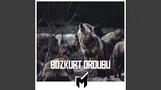 Bozkurt Ordusu
