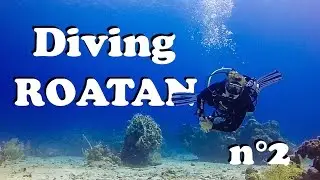 Plongée - Diving in Roatan with Roatan Divers